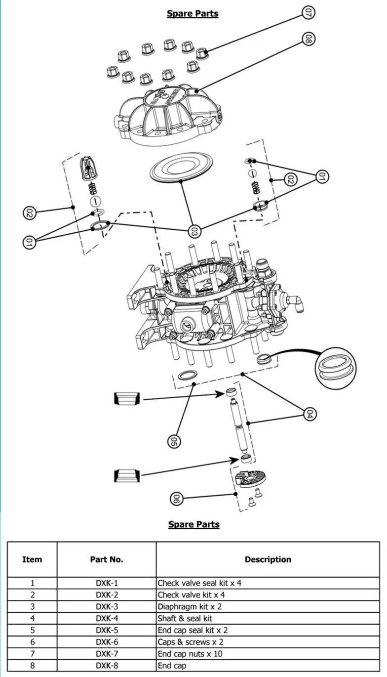 Binks DXK-2 Check Valve Kit