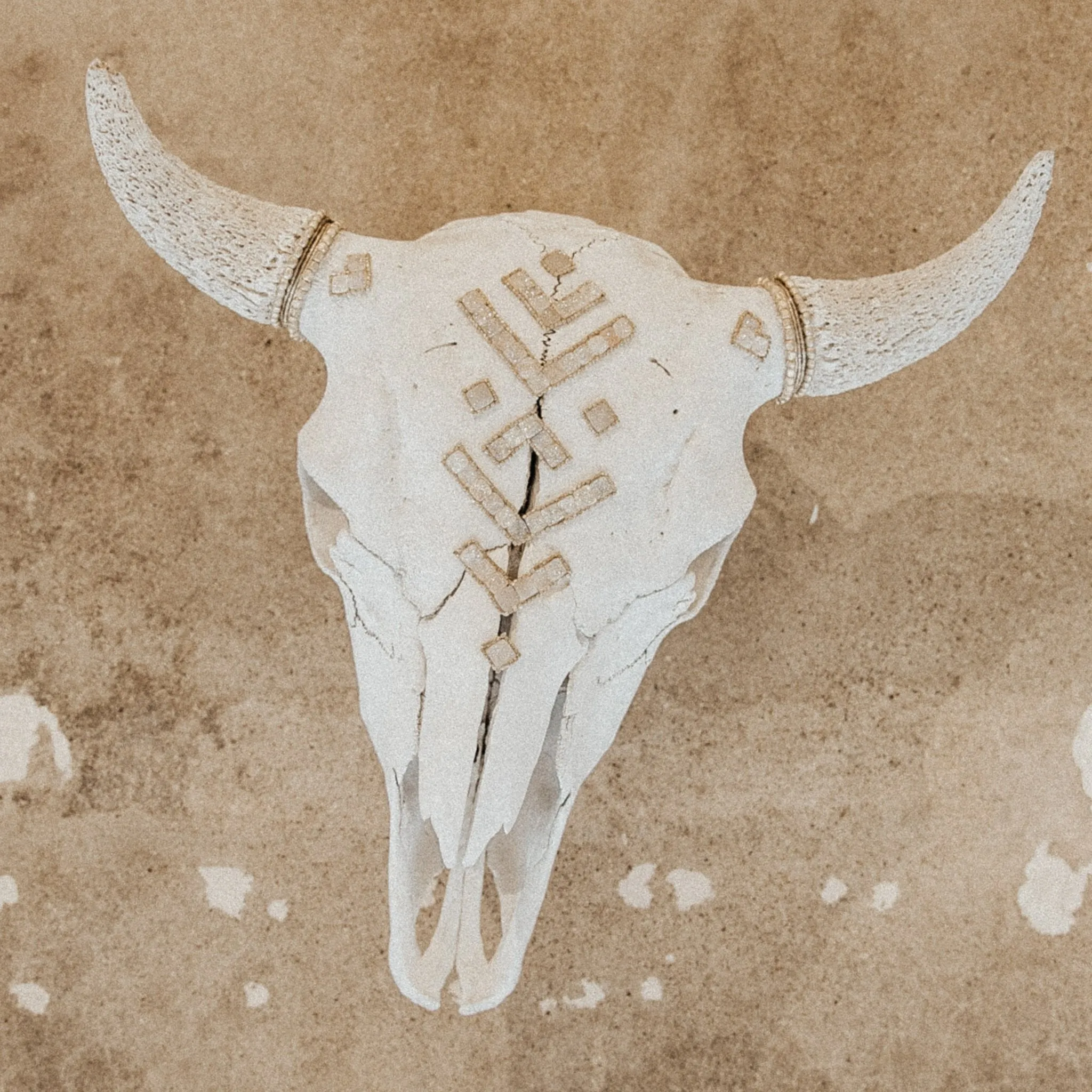 Druzy Tribes Buffalo Skull